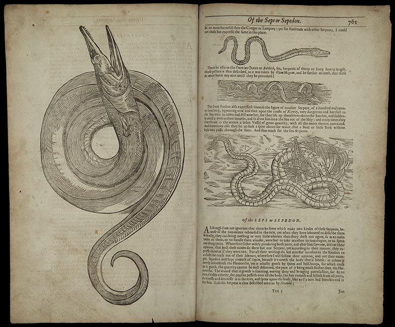 The History of Four-Footed Beasts and Serpents  by Edward Topsell