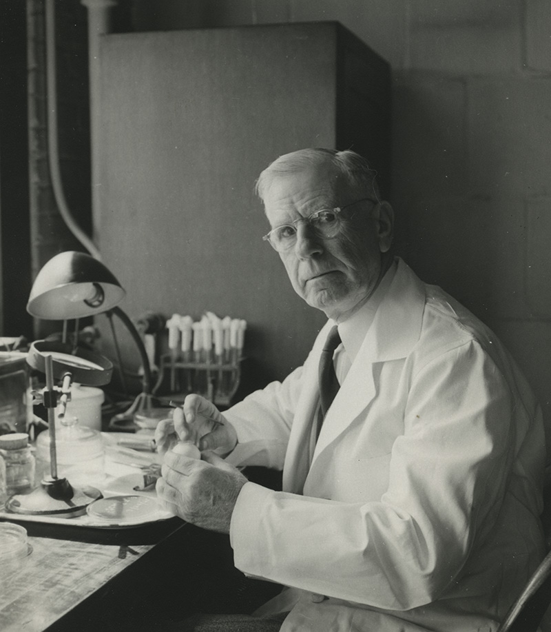 [Ernest Goodpasture in the Laboratory with a Chicken Egg]