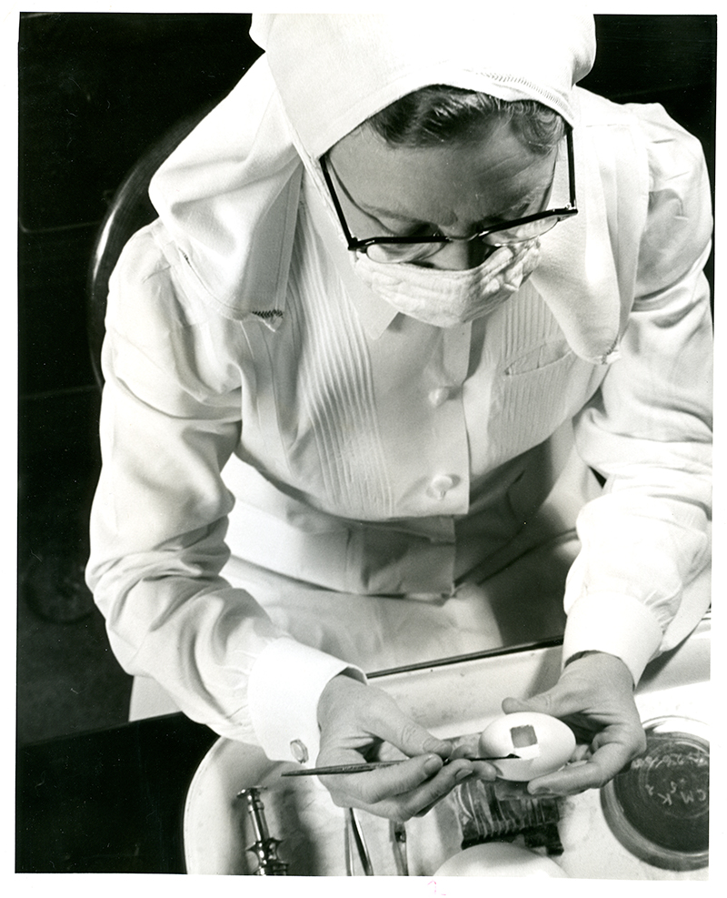 [Marguerite Snyder Preparing a Chicken Egg for Inoculation]