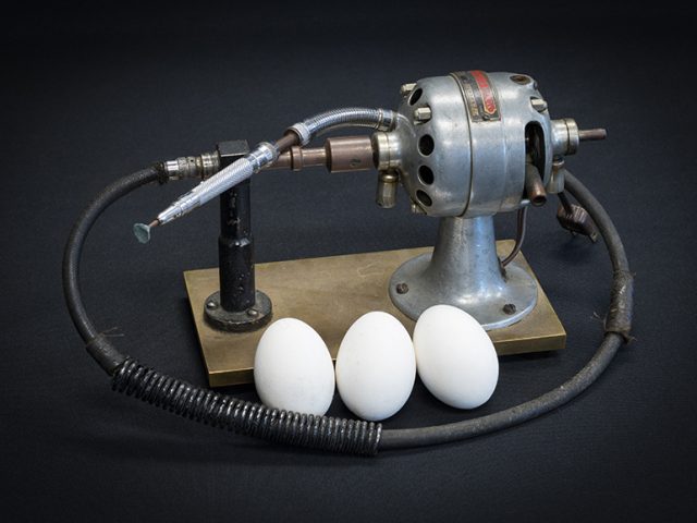 [Egg Drill Used in the Inoculation of Chicken Embryos]