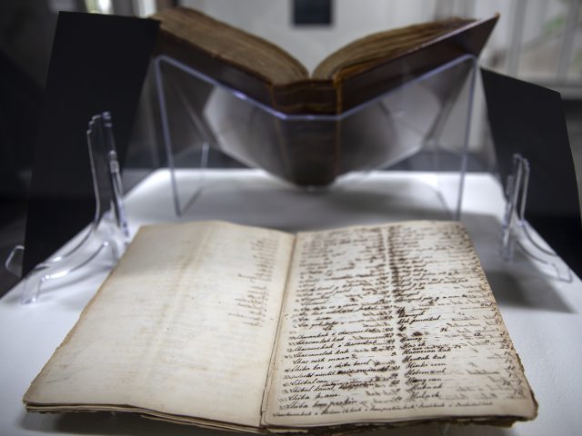 Maya Medical Manuscripts